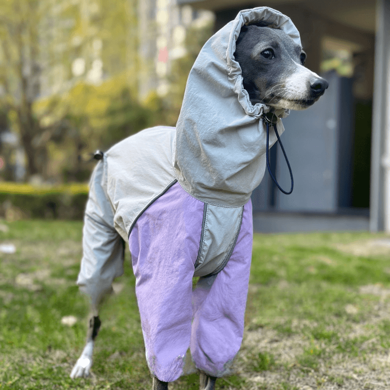 A HUNTING DOG® Dog Color-blocked Waterproof Jacket - KIKOPALS