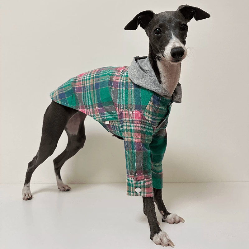 A HUNTING DOG® Dog Striped Hoodie - KIKOPALS