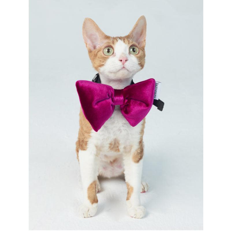 LazyEazy® Velvet Pet Bow Tie - KIKOPALS