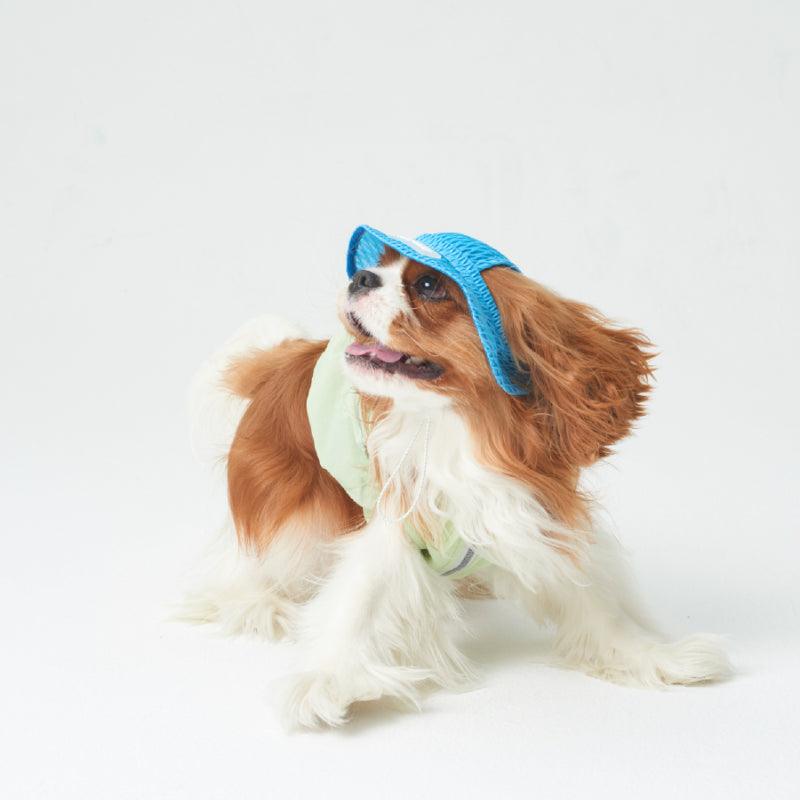 LazyEazy® Mesh Pet Sun Hat - KIKOPALS