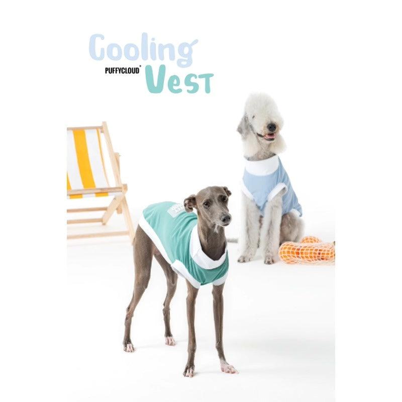 PUFFYCLOUD® Sportswear Casual Suit - KIKOPALS