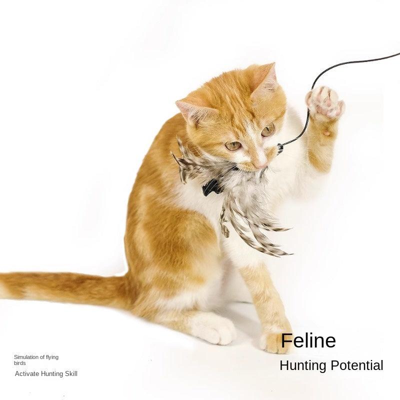 MEOWCARD® Stretch Rope Cat Teaser - KIKOPALS