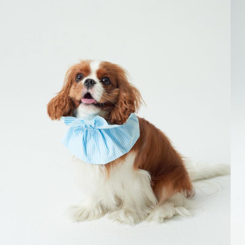 LazyEazy® Anti-Flea Elizabeth Pet Collar - KIKOPALS