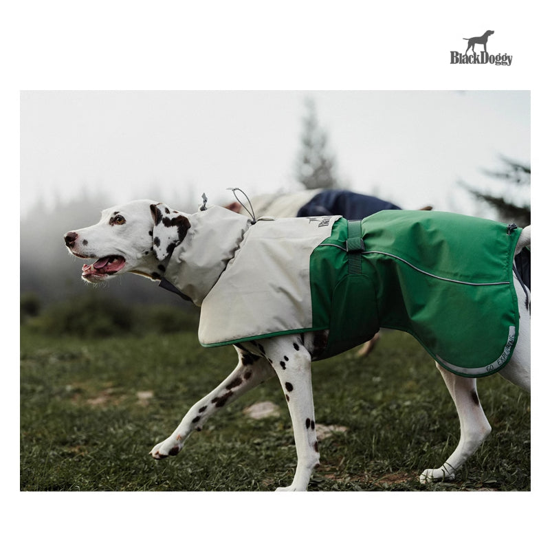 BlackDoggy® Hardshell Jacket for Dogs – Windproof & Water-Resistant