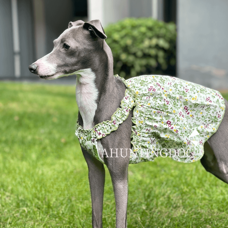 A HUNTING DOG® Dog Floral Dress - KIKOPALS