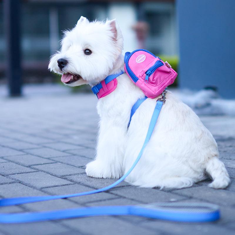 TOUCHDOG® Sauntering Bag Harness & Leash Set - KIKOPALS