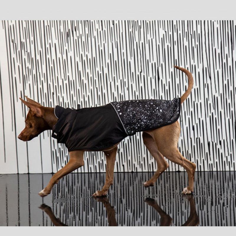Zee.Dog® Dog Raincoat - KIKOPALS