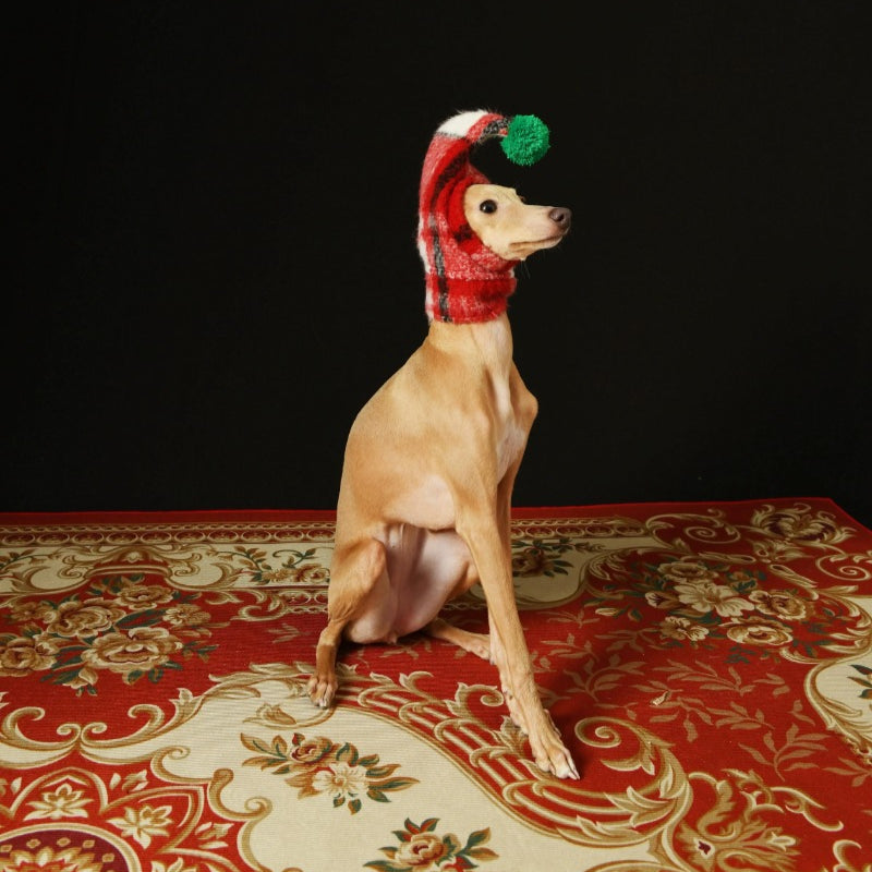 iiNeed® Adorable Red Plaid Hat With Pom-Pom for Dogs