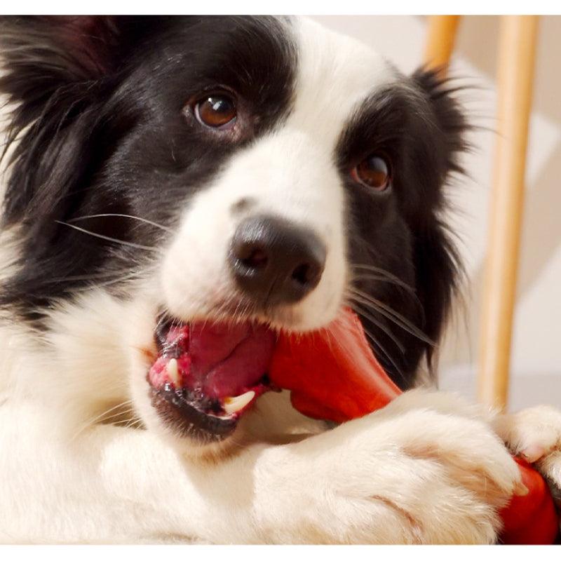 MoovaLab® Durable Chew Toy Bone for Dogs - KIKOPALS