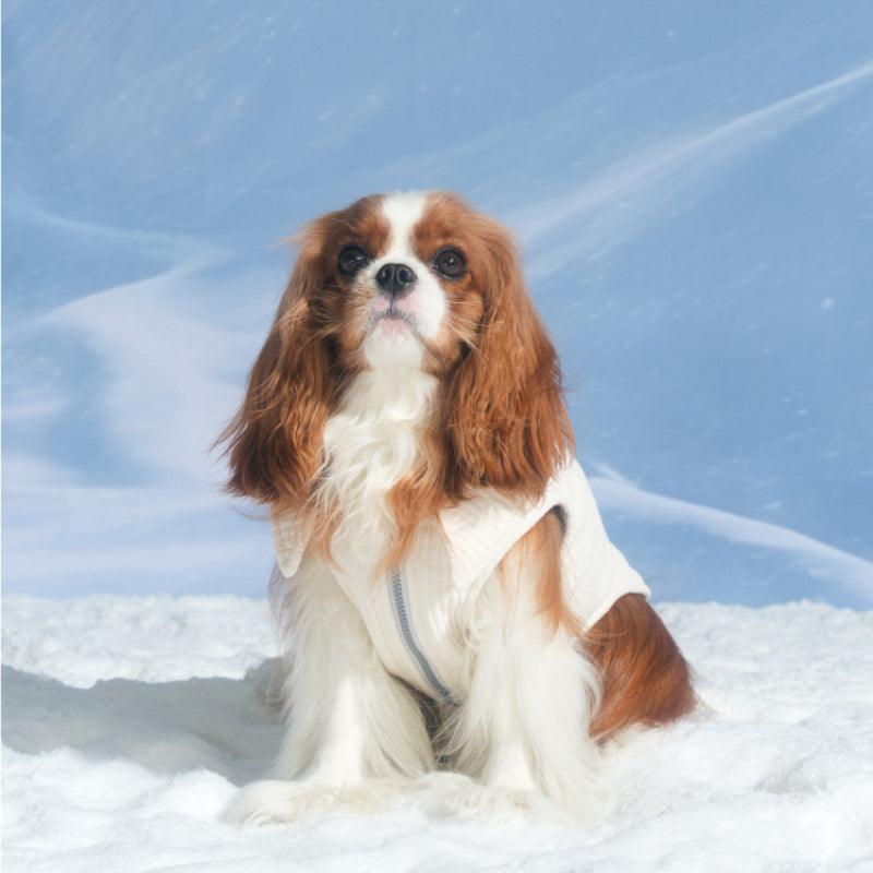 LazyEazy® Corduroy Dog Vest - KIKOPALS