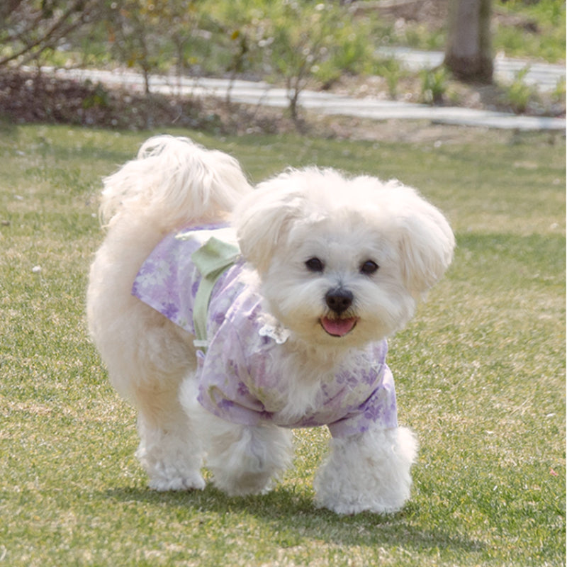 MARSHMALLOW® Japanese Kimono for Dogs