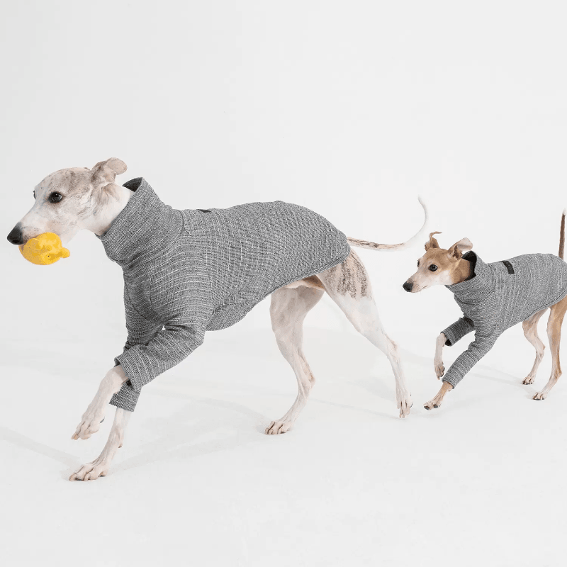 GASU® Grey Slim-Fit Two-Legged Dog Shirt - KIKOPALS