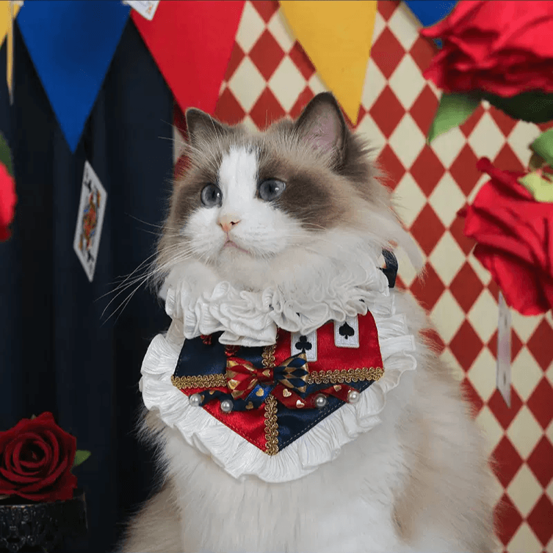 BITEONE® Pet Lolita Bib - KIKOPALS