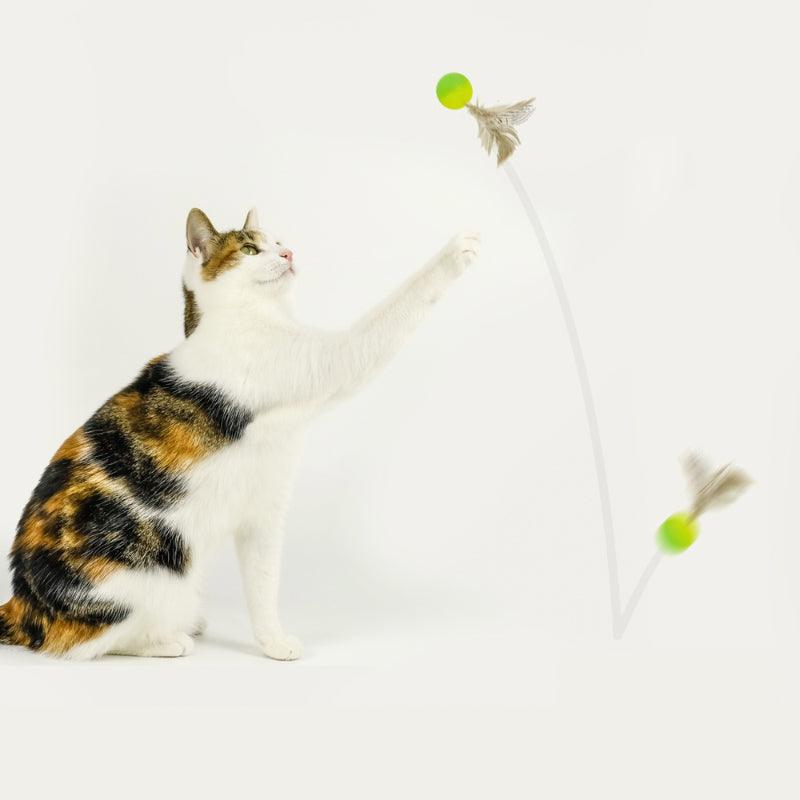 MEOWCARD® Cat Interactive Play Toy - KIKOPALS