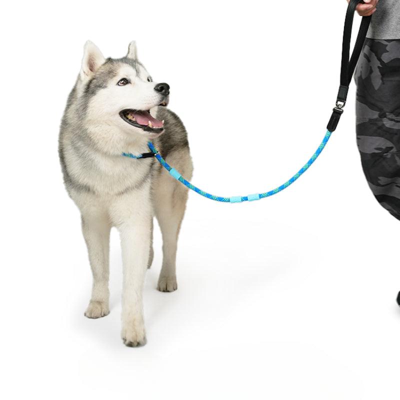 BeauGo® Dog Training Leash - KIKOPALS