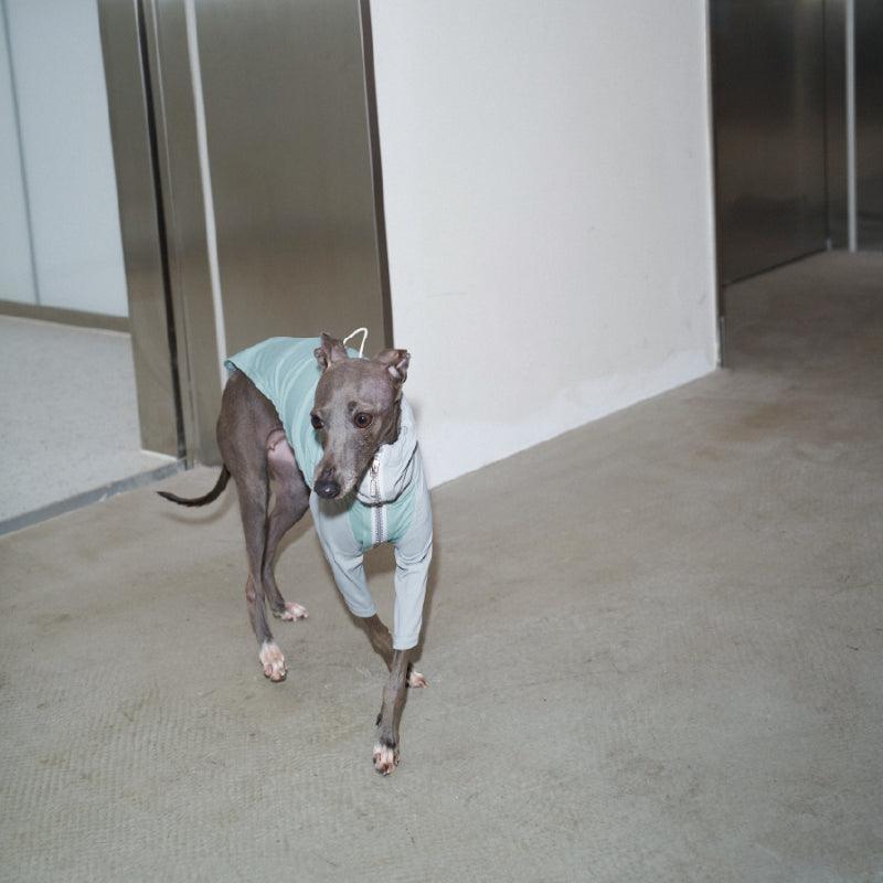 LazyEazy® Colorblock Dog Coat - KIKOPALS