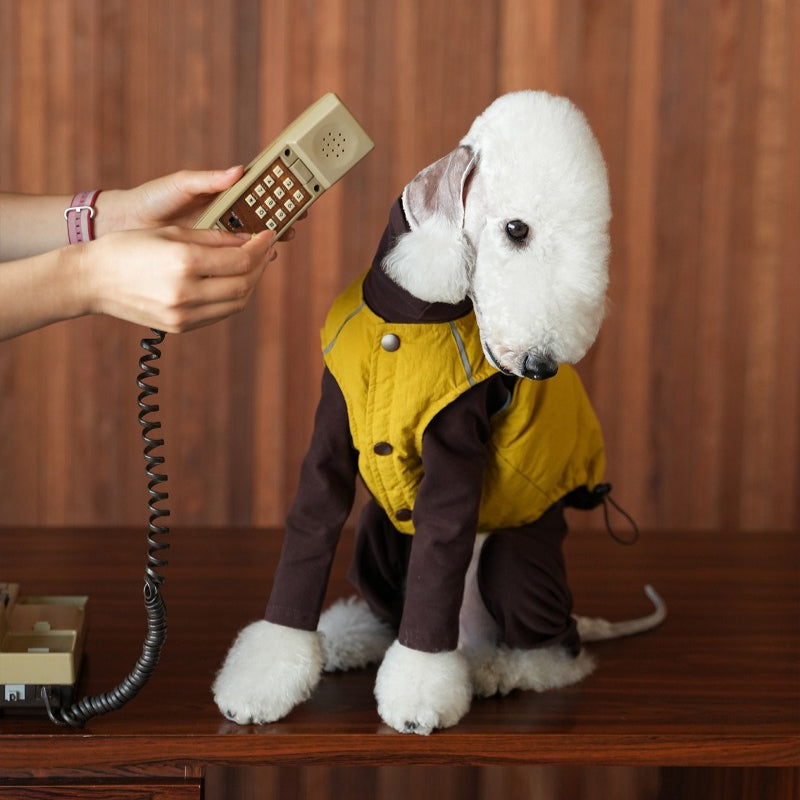 egge® Cotton Stretchy Base Layer for Dogs