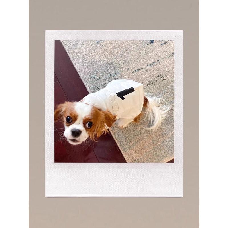 GASU® Athlete Cotton Pet Outfit - KIKOPALS