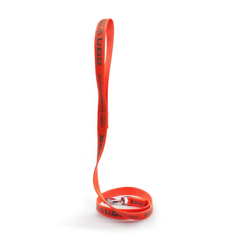 BeauGo® Orange Reflective Pet Leash - KIKOPALS