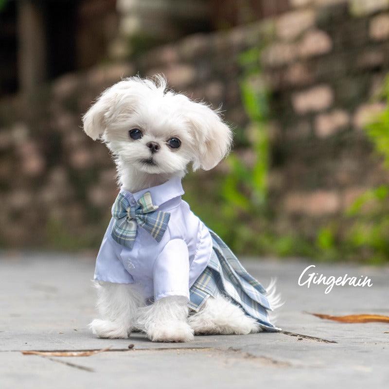 GINGERAIN® Blue JK Pet Dress - KIKOPALS