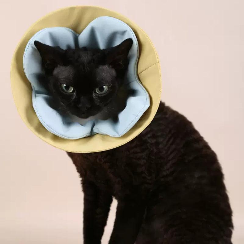 Dottylab® Floral Elizabethan Pet Collar - KIKOPALS