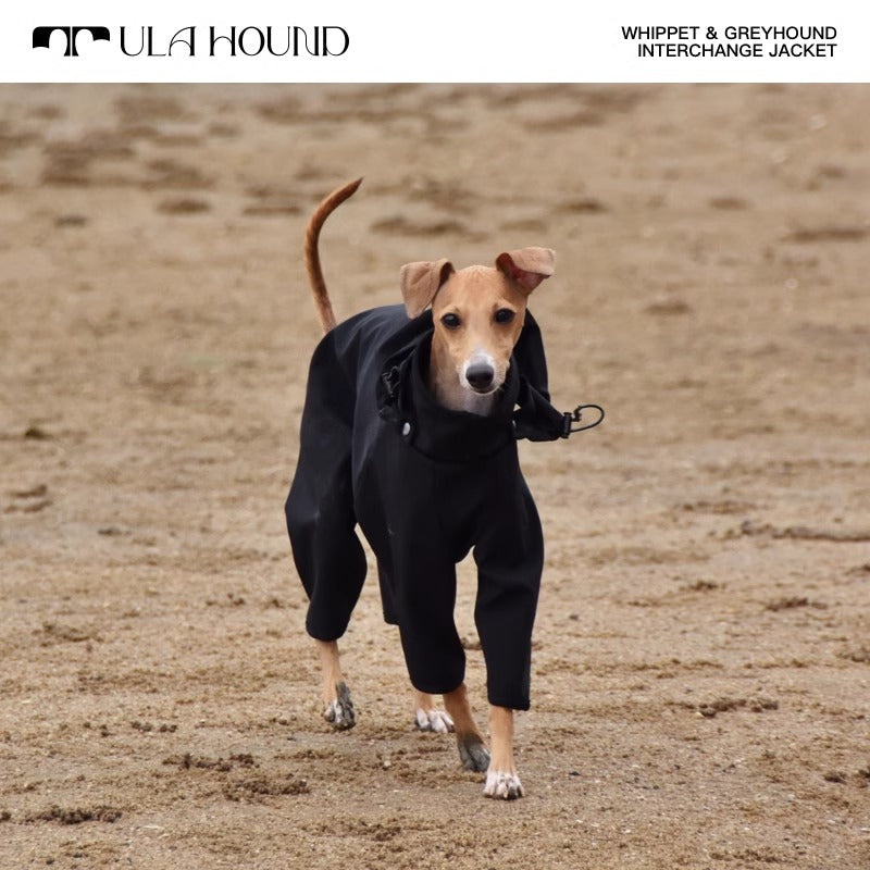 Ula Hound® Dog Waterproof Raincoat