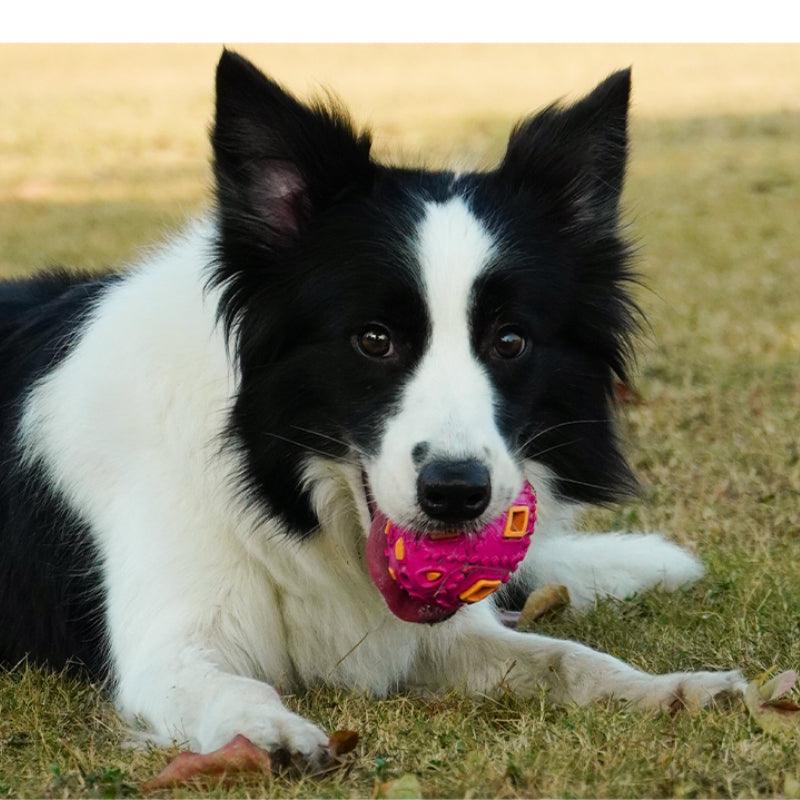 MoovaLab® Durable Light-Up Dog Toy Ball - KIKOPALS