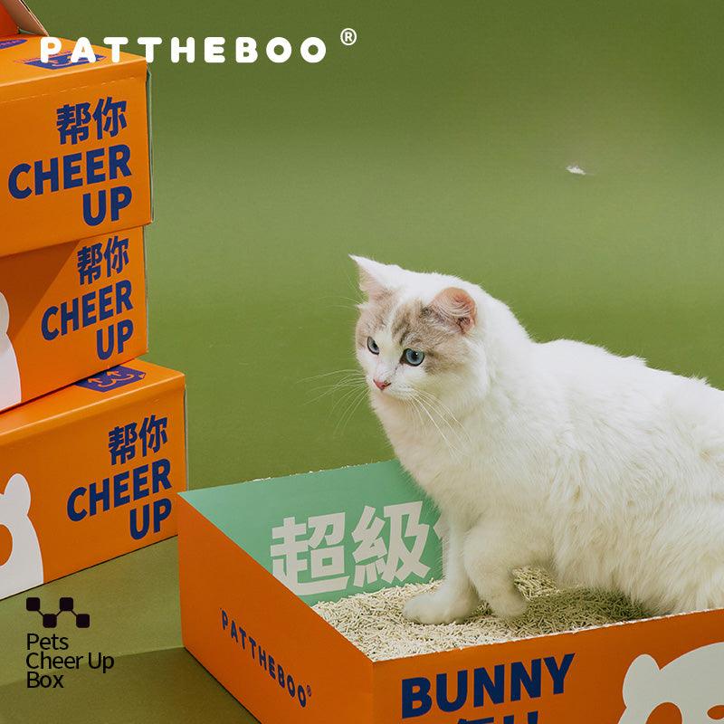 PATTHEBOO® Essential Cat Supplies Kit for Beginners - KIKOPALS