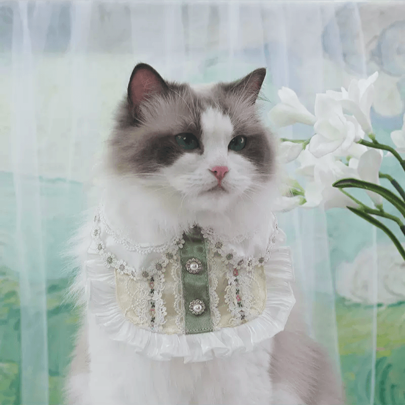 BITEONE® Pet Lolita Bib - KIKOPALS