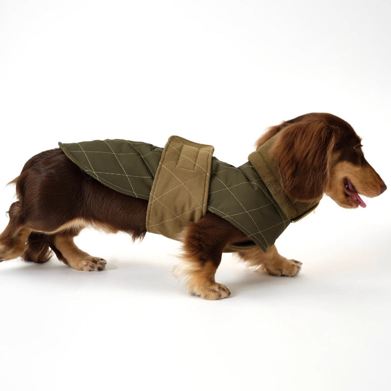 Nuoz® N Series Double Color Windproof Pet Coat for Dogs– Olive Green