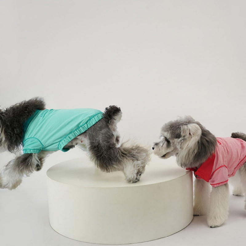 UNIPETISM® Teal Windbreaker for Dogs & Cats