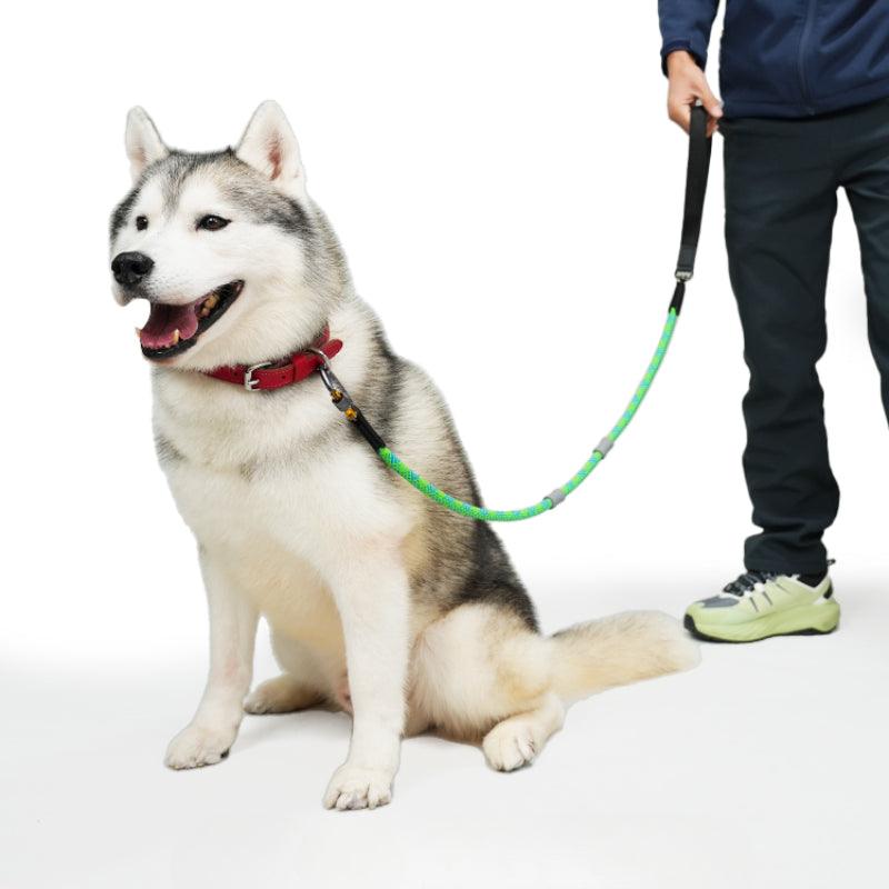 BeauGo® Dog Leash - KIKOPALS