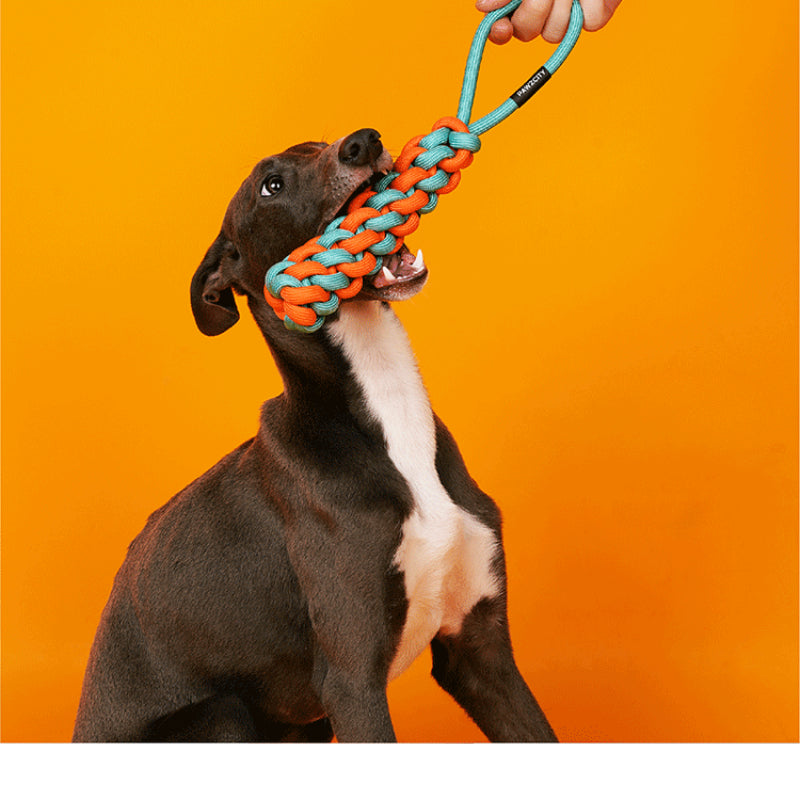 PAWZCITY® Dogs' Urban Neon Knot Toy