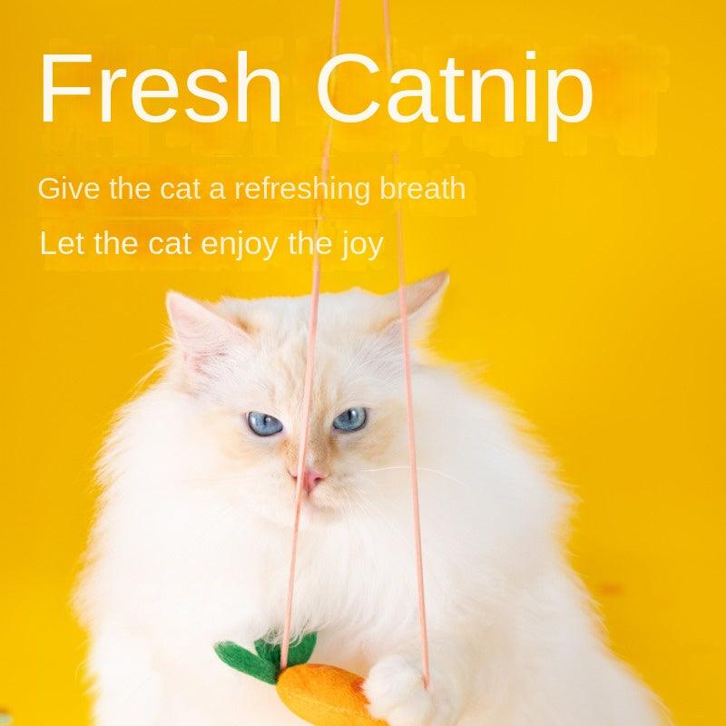 PETSVILLE® Catnip Swing Cat Teaser Toy - KIKOPALS