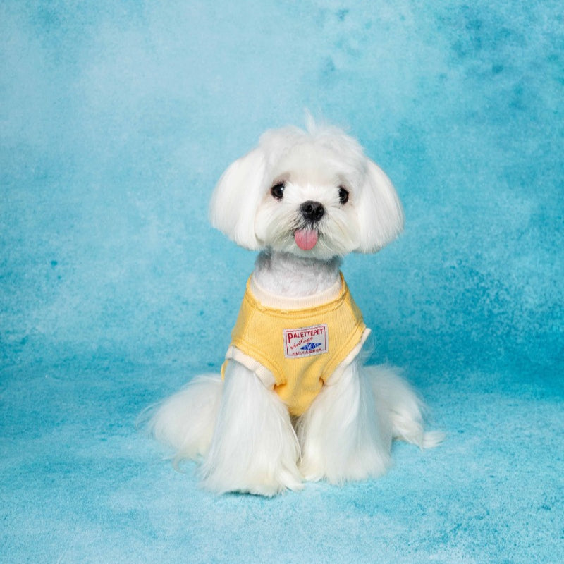 PalettePet® Star Pocket Sweater for Dogs – Yellow