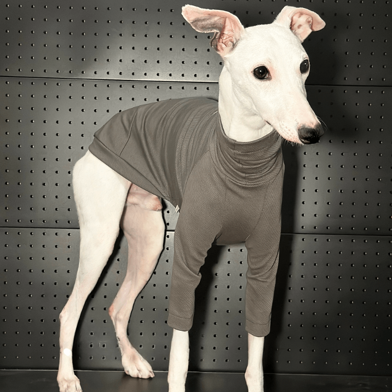 A HUNTING DOG® Dog Fitted T-shirt - KIKOPALS