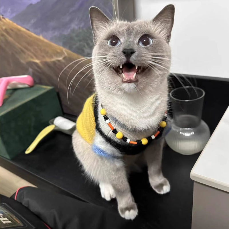 Nuoz® N Series Color-Block Beaded Pet Necklace