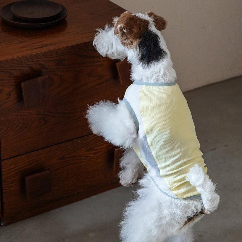 Hound Co.® Lightweight Cooling Vest for Pets - KIKOPALS