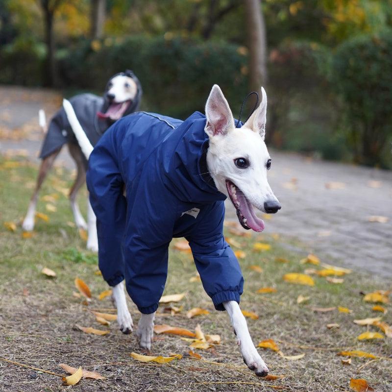 Hound Co.® Fleece-Lined Four-Leg Dog Raincoat - KIKOPALS