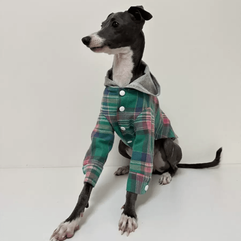 A HUNTING DOG® Dog Striped Hoodie - KIKOPALS