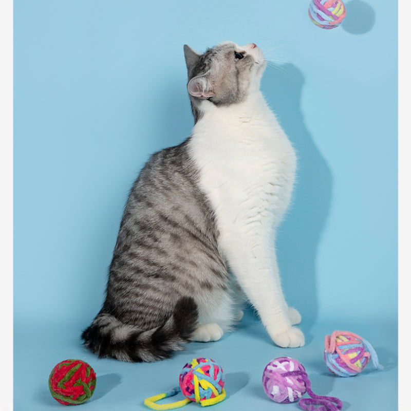 HiDREAM® Cat Toy Ball
