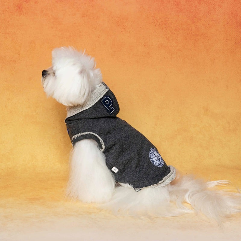 PalettePet® Cloud Pattern Hoodie for Dogs