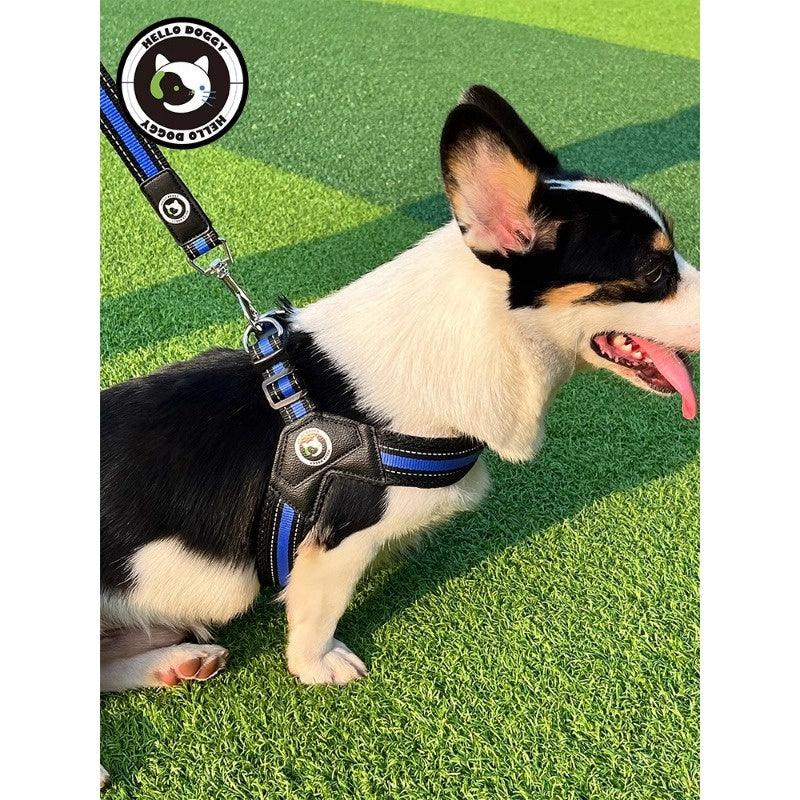 HELLODOGGY® Dog Leash & Harness Kit - KIKOPALS