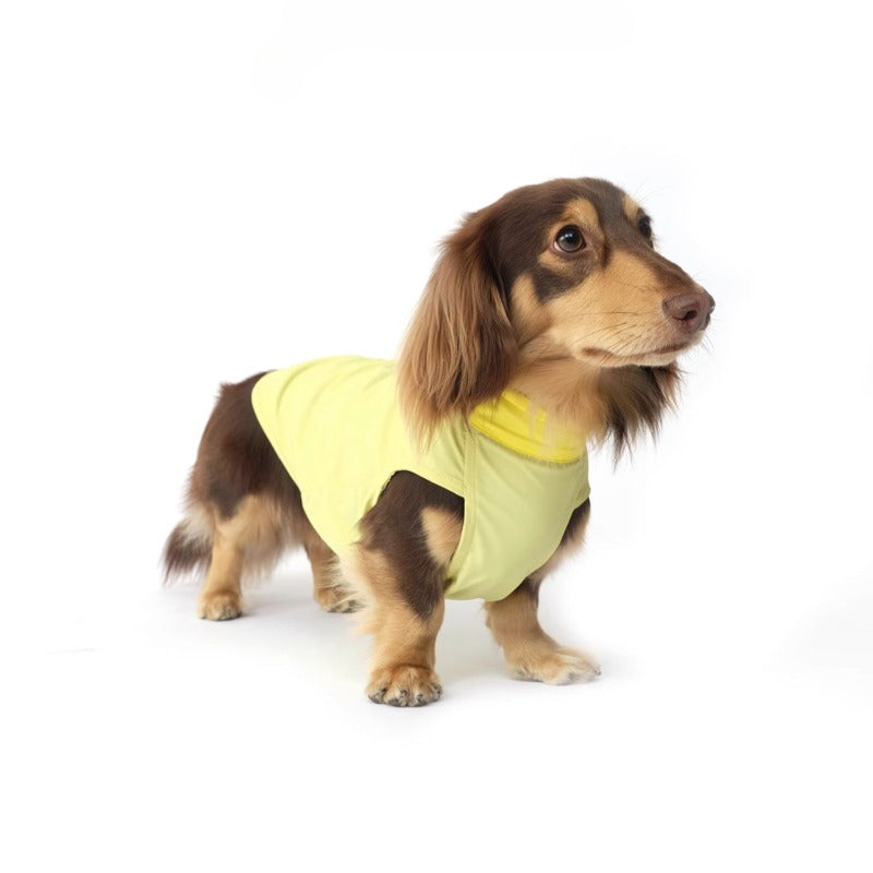 Nuoz® Pet Cooling Base Layer with Color Block Design for Dogs