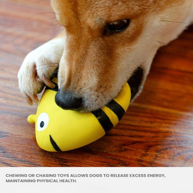 Qmonster® Rubber Squeaky Dog Toy - KIKOPALS