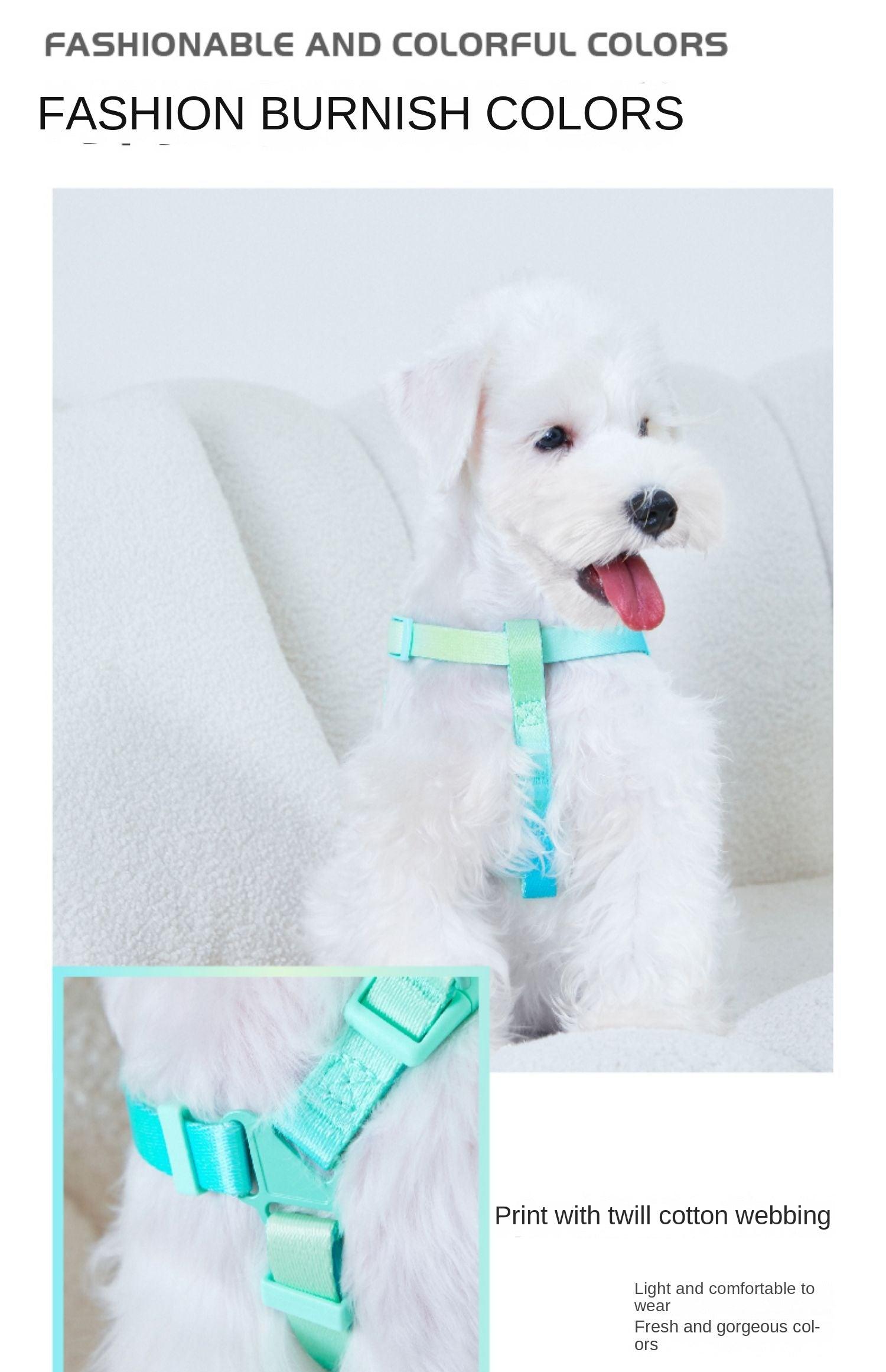 ARKIKA® Gradient No-Pull Dog Harness Leash - KIKOPALS