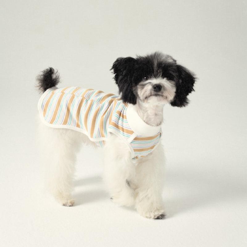 LazyEazy® Striped Dog Vest - KIKOPALS