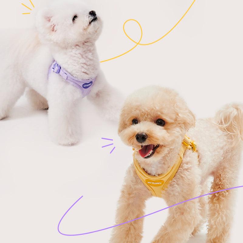 Myfluffy®Pet Leash / Harness - KIKOPALS