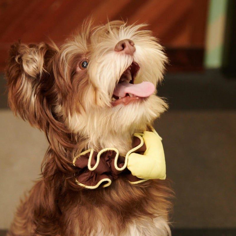 iiNeed® Heart-Shaped Pet Bibs & Scarves