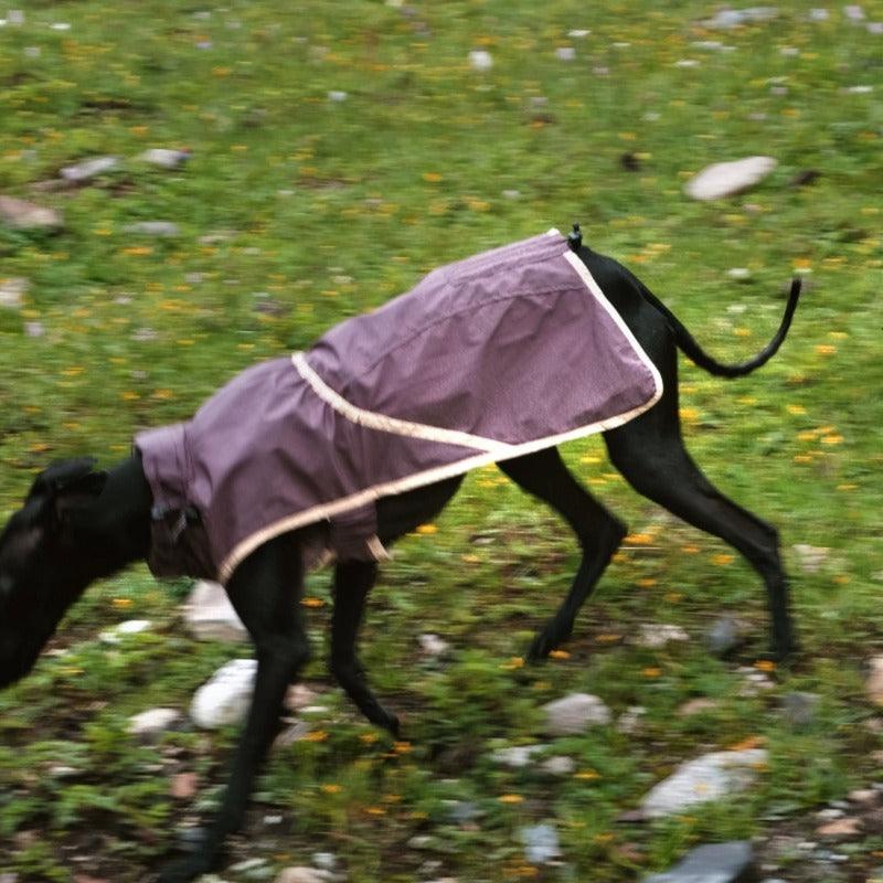 BBPRODUCTION® All-Season Adjustable Dog Raincoat - KIKOPALS